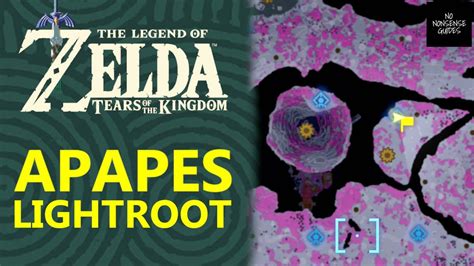 how to get apapes lightroot|light root by hyrule castle.